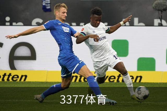 关于3377体育